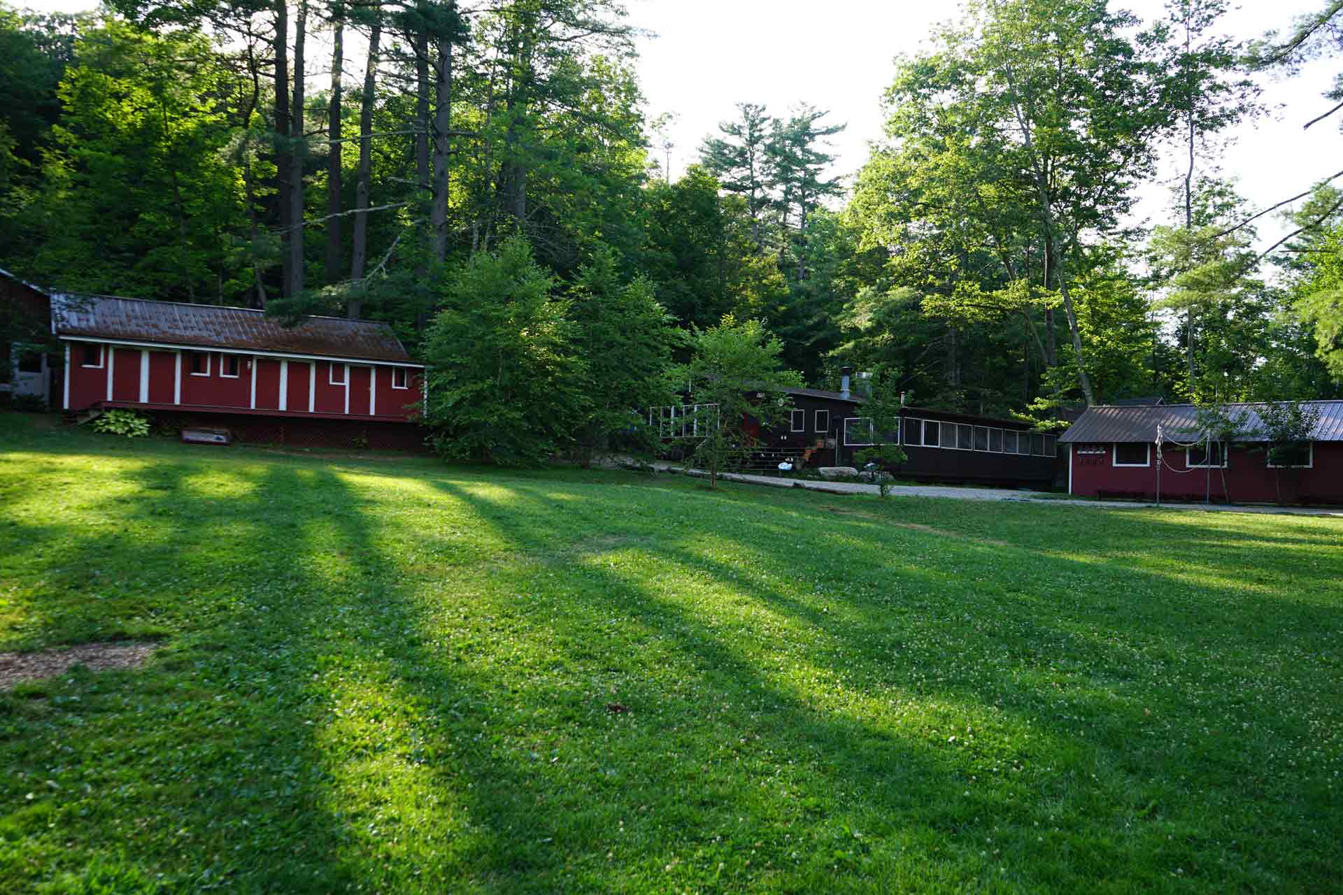 About Point CounterPoint Red wooden cabins are situated at the edge of a grassy field, surrounded by tall trees and dense greenery on a sunny day, offering a peaceful retreat much like a hidden gem at Point CounterPoint.