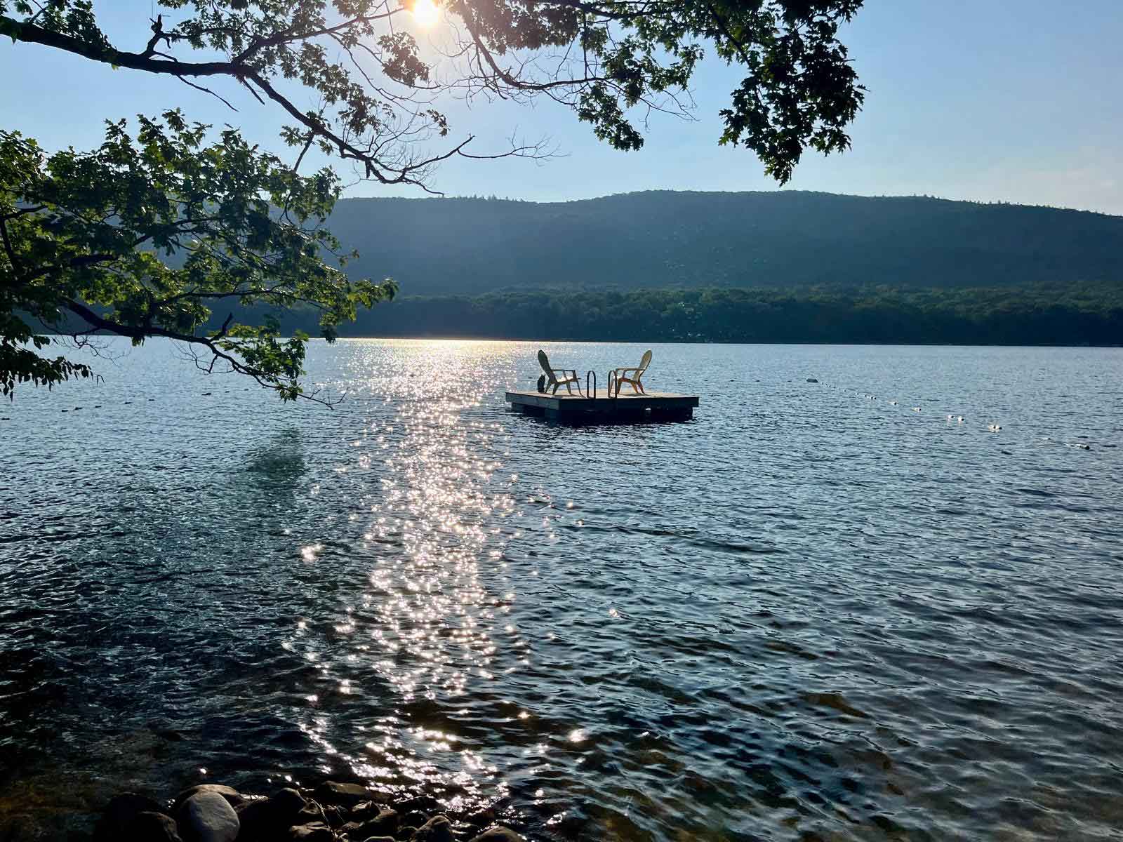 About Point CounterPoint svg%3E